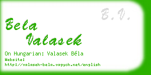 bela valasek business card